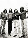 kings of leon