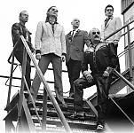 Many and The Teddyshakers