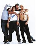 red hot chili peppers