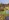 Drei L�nder Garten